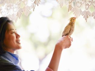 Cheerful woman and pet bird perched on her finger