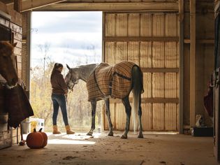 Teen Girl Caring for Horse in a Stable