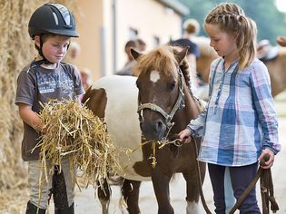 Boy and girl at riding stable with mini shetland pony