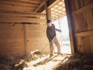 Teenage boy cleaning stable