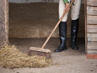 Woman sweeping out horses stable.
