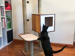 Vesper Cat Furniture