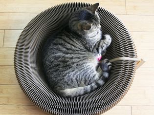 YOUTHINK Cat Scratcher Cardboard Lounger