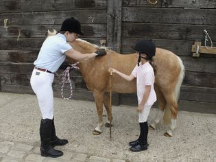 A woman and a girl measuring height of pony using measuring stick against withers