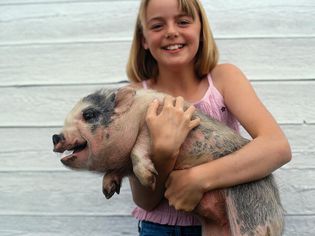 Girl Holding a Pot Bellied Pig
