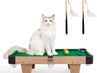 Vetreska Cat billiards pool table
