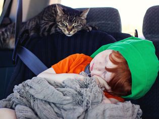 A cat and a child sleeping in a car