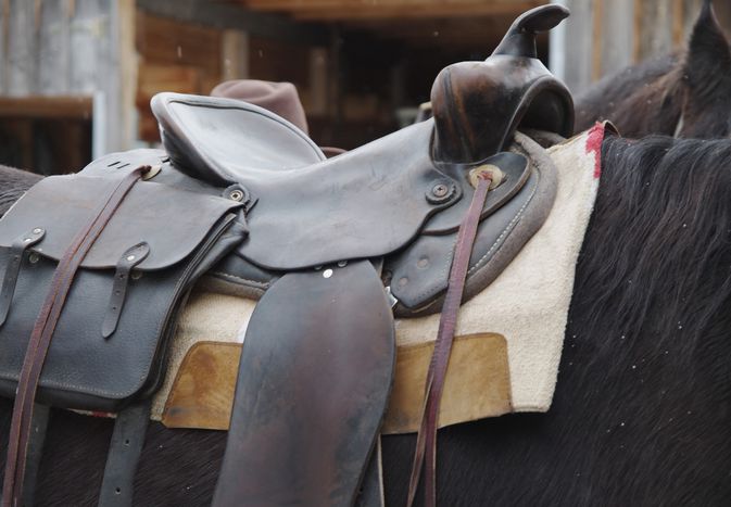 Close-Up Of Saddle On Horse