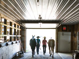 Cowgirls lead horses out of stable, rear view