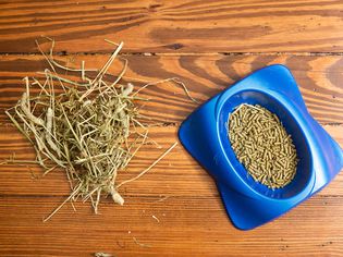 Rabbit food pebbles in blue bowl and straw laying on wood