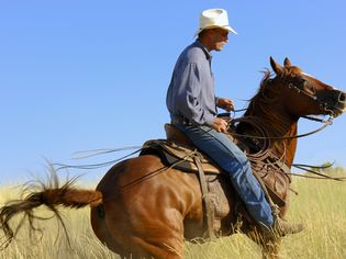 Cowboy riding a chestnut horse