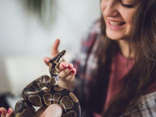 Ball python being pet and held by a girl.