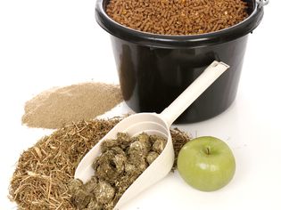 Various types of horse feeds and supplements.