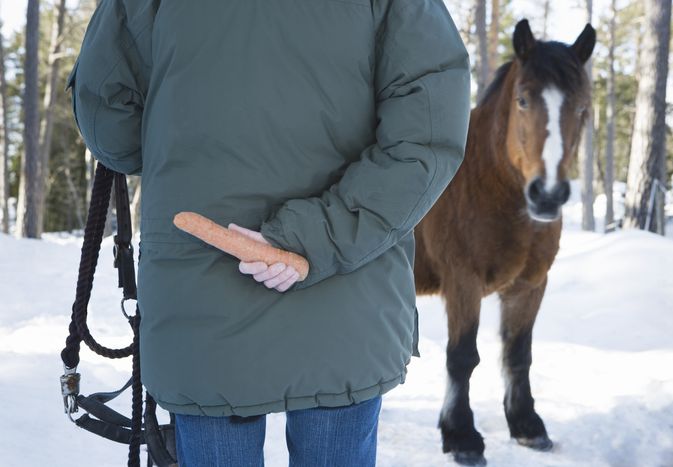 Person hiding carrot from curious horse.