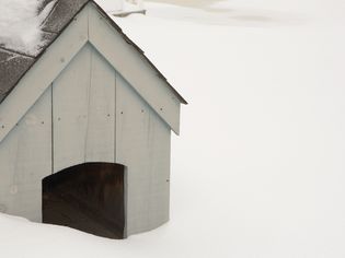 Dog house in snow