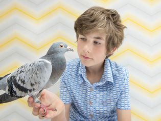 Pigeon in boy's hand