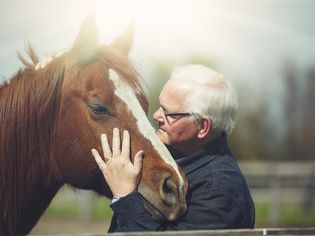Human-horse bond