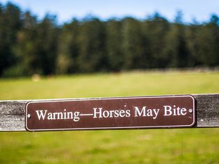A sign saying 'Warning-Horses May Bite' with trees and grass in the background.