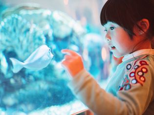Lovely little girl admiring fish in aquarium