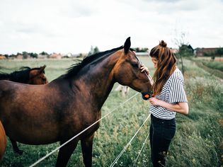 Girl petting horse