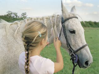 Girl braiding horse's mane, rear view