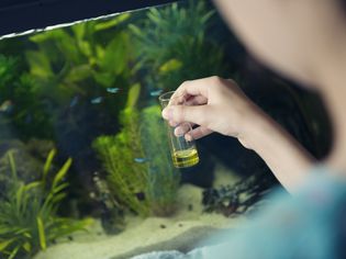 Girl using a chemical test kit to measure the quality of water in a home aquarium
