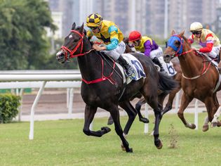 Horse Racing in Hong Kong - Sha Tin Racecourse
