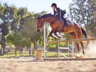 Horse jumping over an obstacle with a rider.