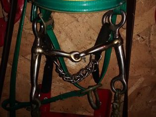 A Tom Thumb bit hanging on a green synthetic bridle.