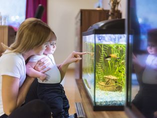 Mother and baby looking at aquarium.