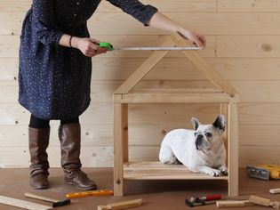 Building a dog house