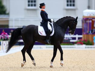 Anky Van Grunsven of Netherlands riding Salinero competes in the Team Dressage Grand Prix Special on Day 11 of the London 2012 Olympic Games.