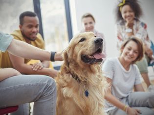 People petting dog in group therapy session