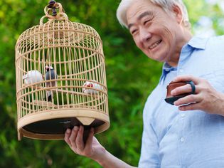 Recreational older men holding a cage in the yard