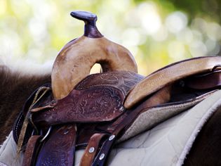 Saddle with pad on top of a horse.