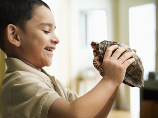 Boy holding pet tortoise
