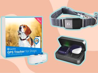3 of the best gps trackers for dogs