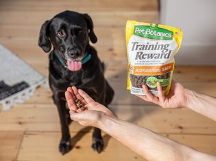 Pet Botanics Training Rewards Flavor Dog Treats