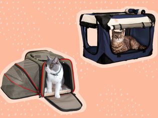 The 7 Best Cat Carriers of 2022