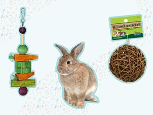The 8 Best Rabbit Toys of 2022