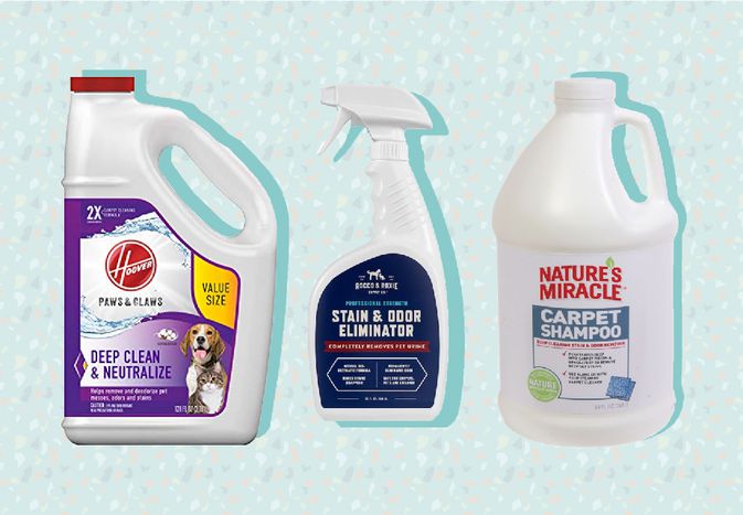 Best Carpet Cleaner Solutions for Pets