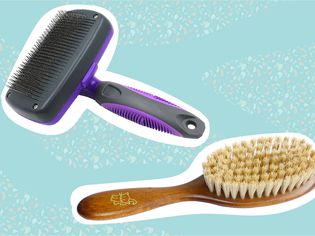 The 8 Best Cat Brushes of 2022