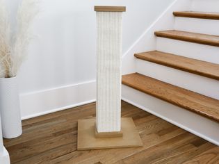 SmartCat The Ultimate Scratching Post - sisal, standalone