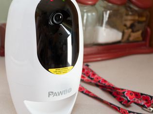 Pawbo Pet Camera