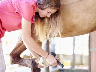 Teenage girl cleaning hoof of a horse