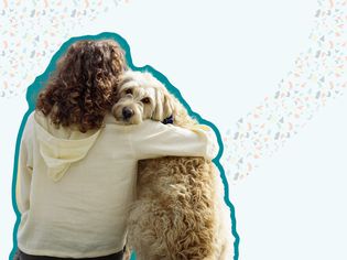 Person hugging dog 