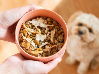 Turkey pieces added to bowl of dog food with dog looking at bowl