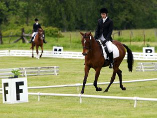 A dressage horse and rider actively competing