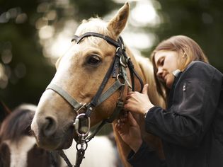 Woman caring for a horse that is wearing a bridle.