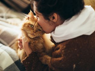 Woman kissing an orange cat